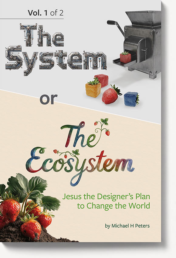 The System or The Ecosystem Volume 1 book cover
