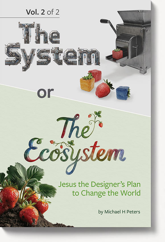 The System or The Ecosystem Volume 2 book cover