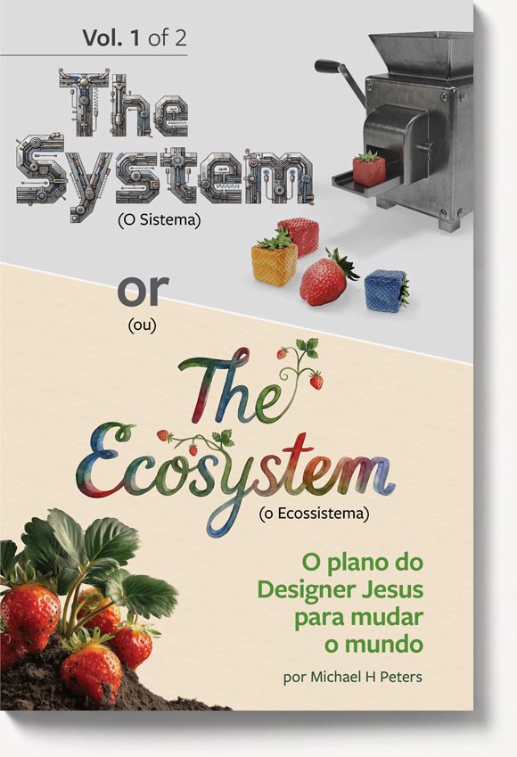 The System or The Ecosystem Volume 1 book cover