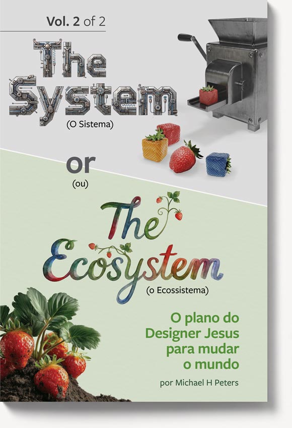 The System or The Ecosystem Volume 2 book cover